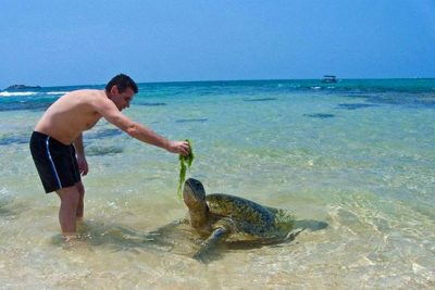 turtle-watch-rekawa-beach